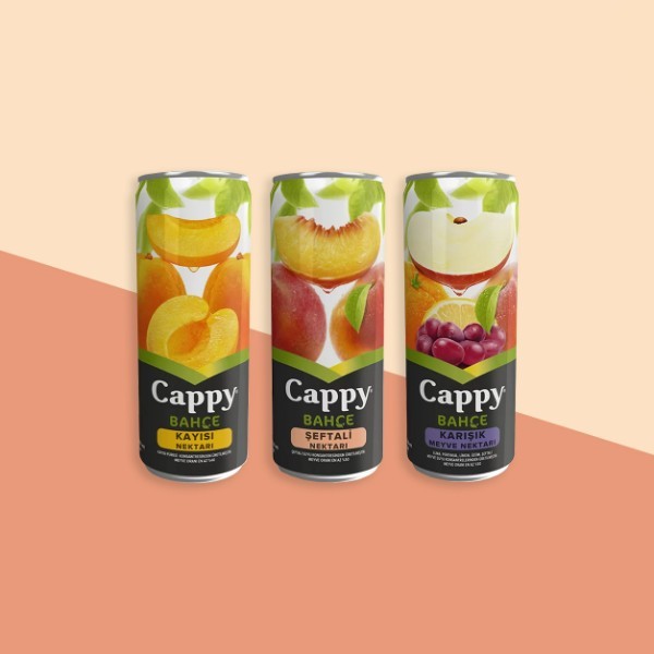 Cappy Meyve Suyu (330ml)